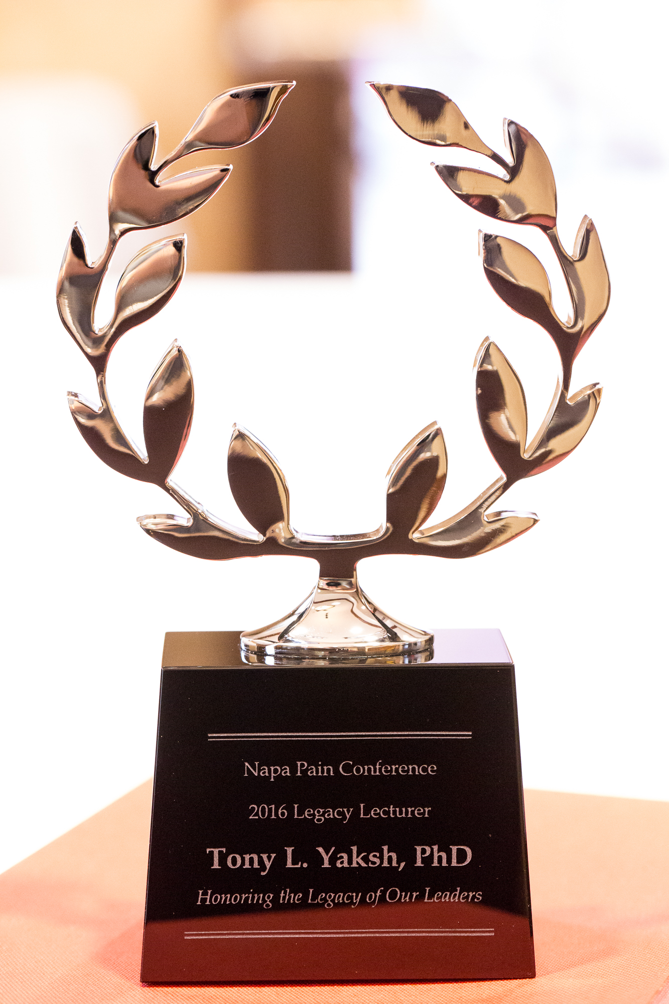 Napa Pain Conference Legacy Lecture Award
